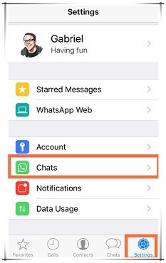 Retrieve Deleted WhatsApp Chats from iCloud