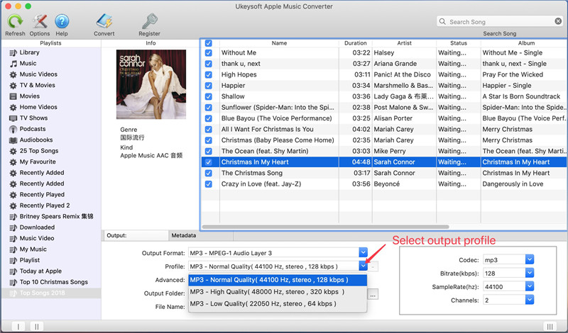 select MP3 as the convert format